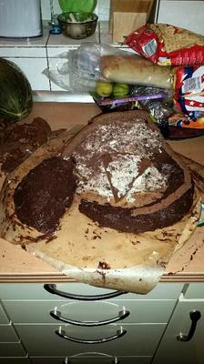 Dino Kuchen - Entstehung 2